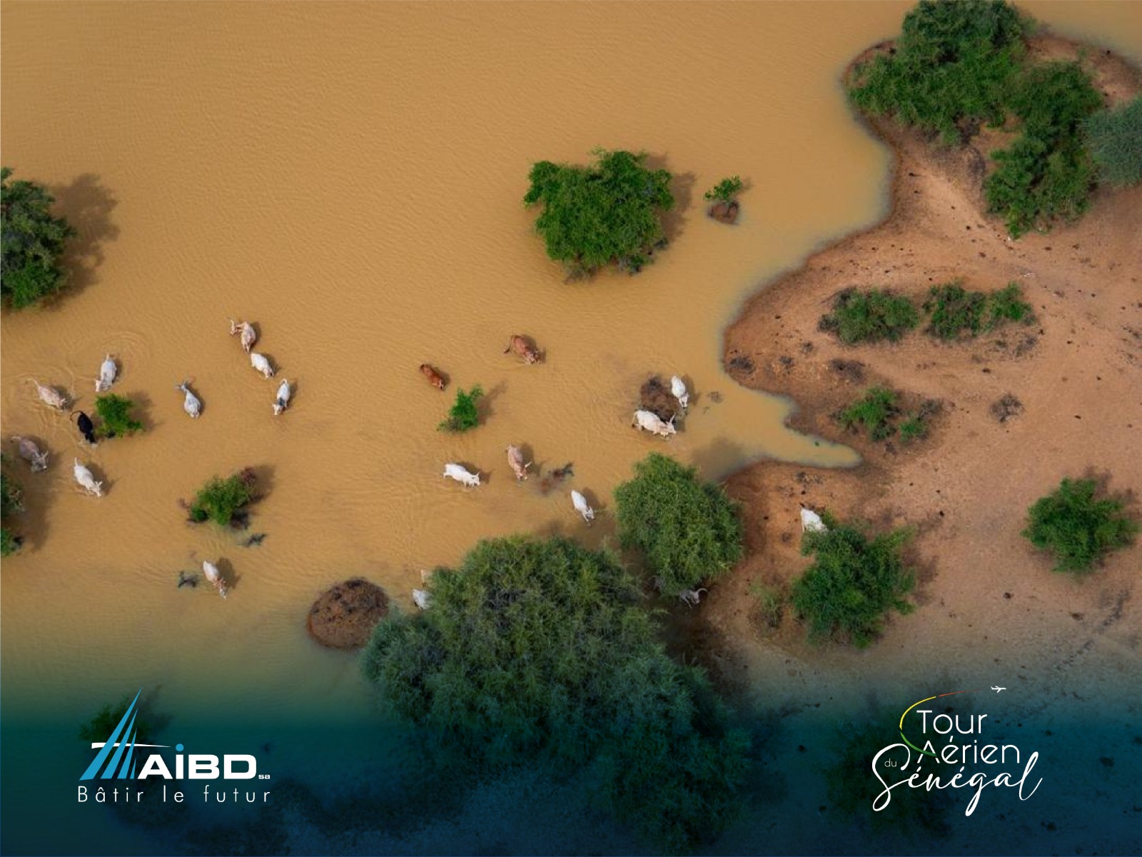 PHOTO-2025-12-03-11-12-04 2